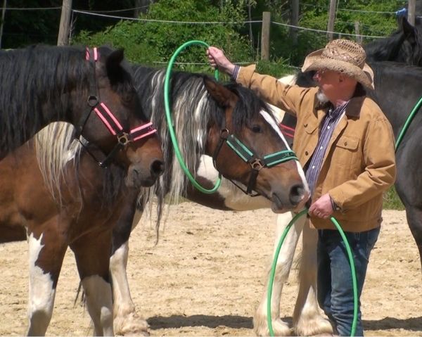 Gerhard und Artax